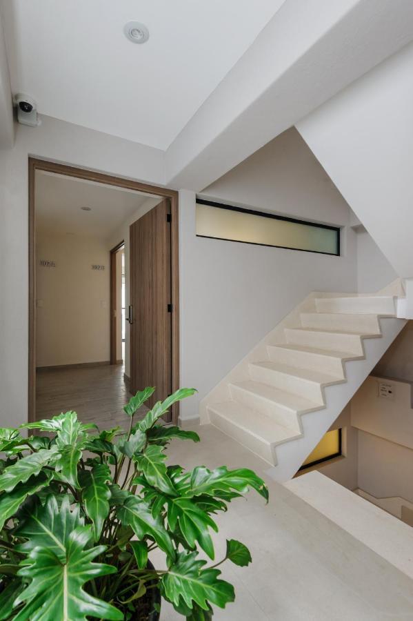 Choapan 28 - Lux Apartments In Condesa Mexico City Exteriör bild